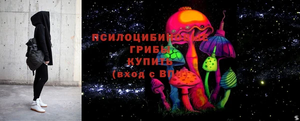 гашик Липки