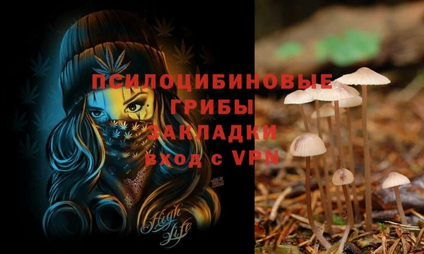 гашик Липки