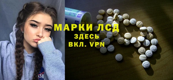 гашик Липки